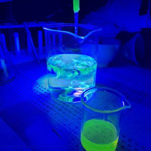 fluorescencja-eksperymenty
